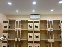 Geylang Road (D14), Shop House #544868601
